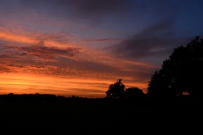 DSC_2179 (Large).JPG